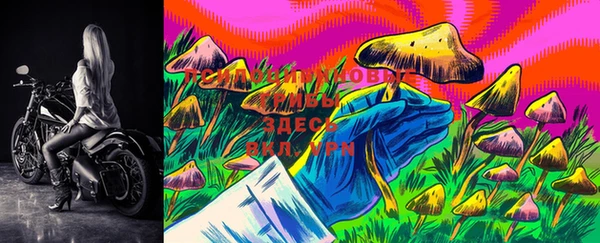 PSILOCYBIN Навашино