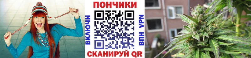 Марихуана SATIVA & INDICA  Купить закладки  Абакан 